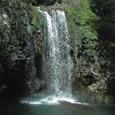 Dehesas de Sierra Morena - Chorrera del Moro. San Nicolás del Puerto